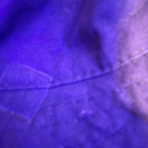 REVERSIBLE TROPICAL BUCKET HAT - Picture 3 of 3